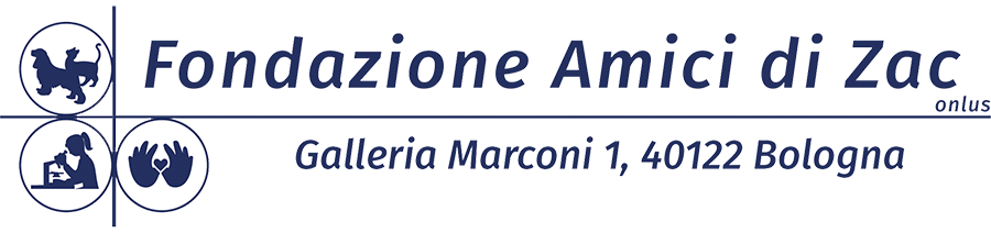 logo-fondazioneamicidizac21