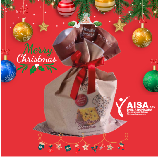 Panettone Solidale di Natale - Sostieni AISA e gusta la tradizione!