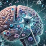 La glia nell’atassia spinocerebellare di tipo 1