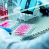 Nuovo modello di cellule staminali per la SCA1